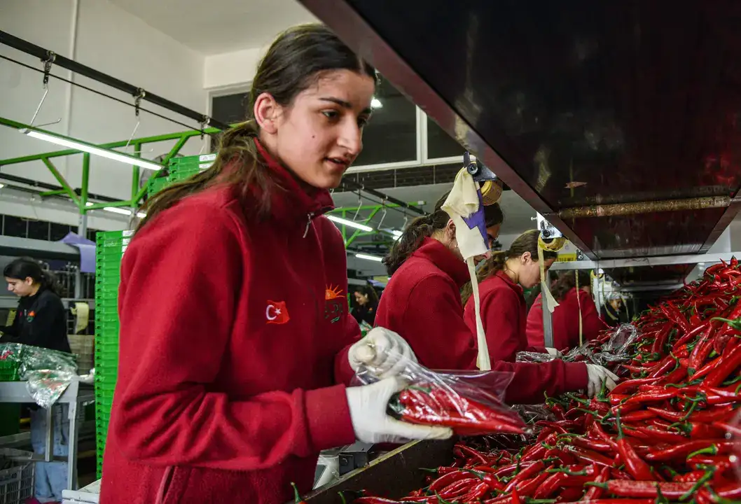 Antalya Hali 64 Ülkeyi Besliyor 1